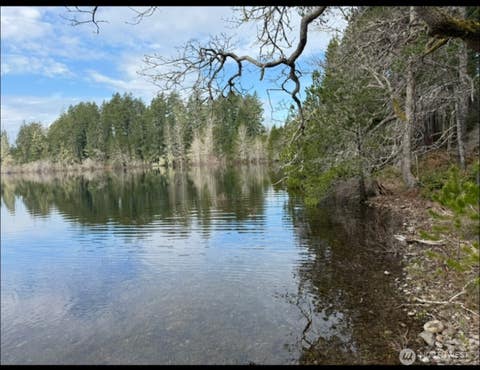 Photo of 2531 W Hanks Lake Road, Shelton, WA 98584 (MLS # 2566282)