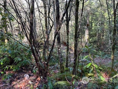 Featured picture for the property 2211172