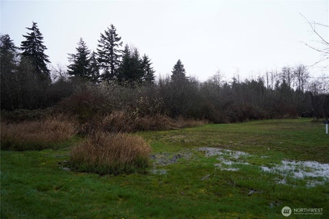 Photo of 803 112th Street E, Tacoma, WA 98445 (MLS # 2578328)