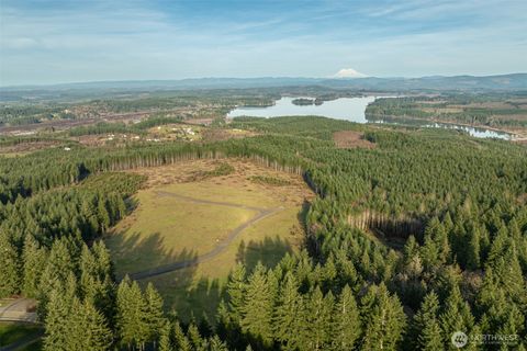 Photo of 272 Silverwood Drive, Castle Rock, WA 98611 (MLS # 2507164)