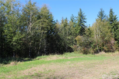 Photo of 0 Lot E Ravenwood Drive, Kelso, WA 98626 (MLS # 2576884)