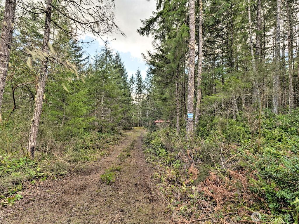 Photo of 131 E Skyview Drive, Union, WA 98592 (MLS # 2490609)