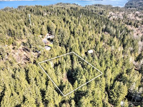 131 E Skyview Drive Union WA 98592