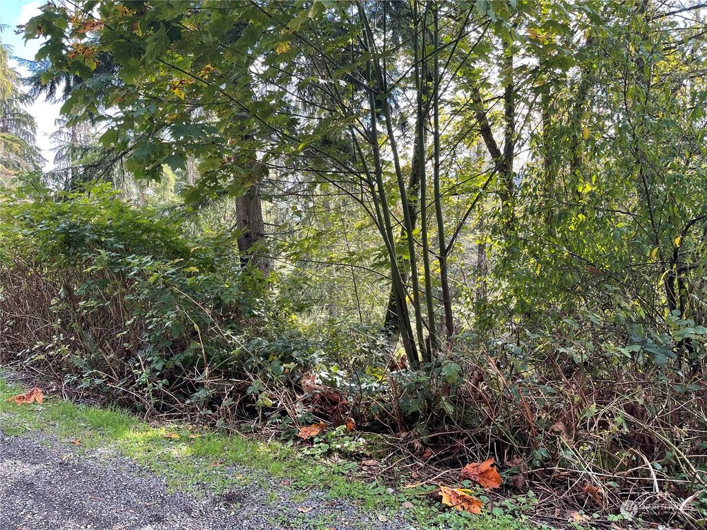 Photo of 13 XXX 119th Place NE, Granite Falls, WA 98252 (MLS # 2027862)