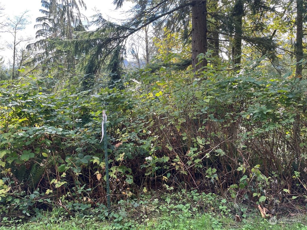 Photo of 13 XXX 119th Place NE, Granite Falls, WA 98252 (MLS # 2027862)