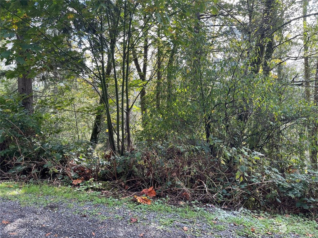 Photo of 13 XXX 119th Place NE, Granite Falls, WA 98252 (MLS # 2027862)