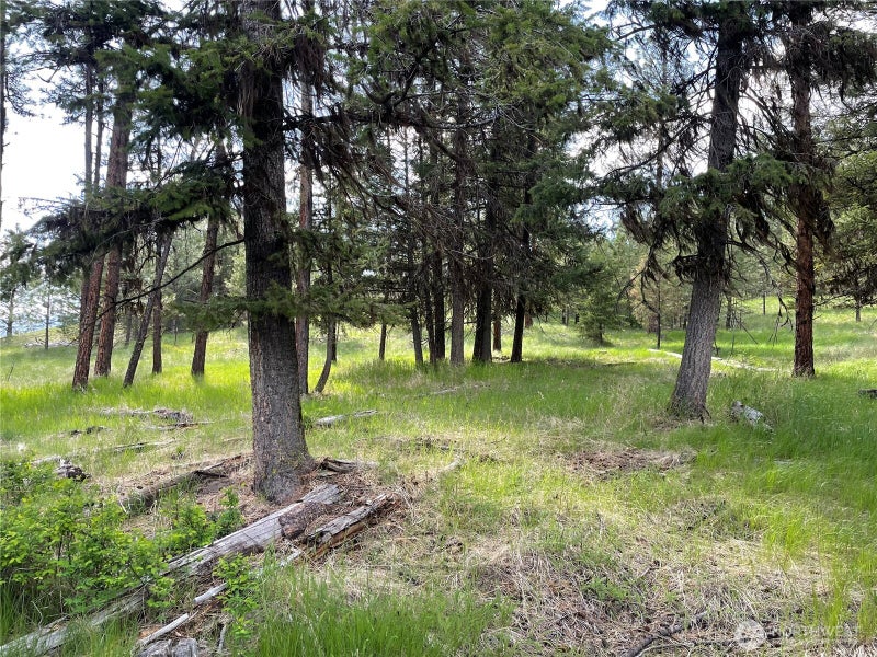 111 TBD Sunrise Rd