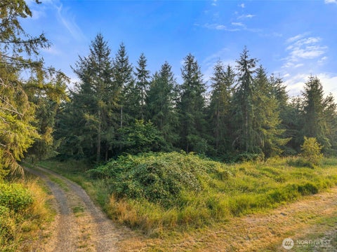 Photo of 0 Aslpach Road, Onalaska, WA 98570 (MLS # 2566191)