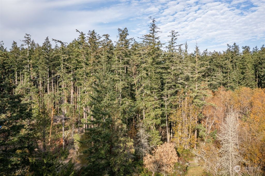 listing image 9368716362788732541