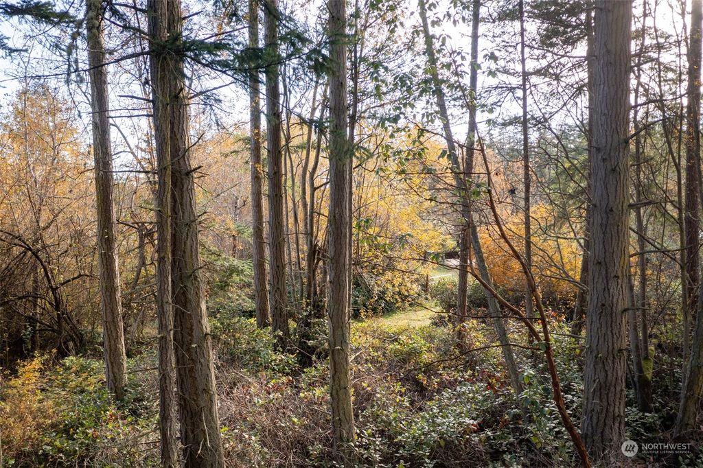 listing image 9362962693463320604