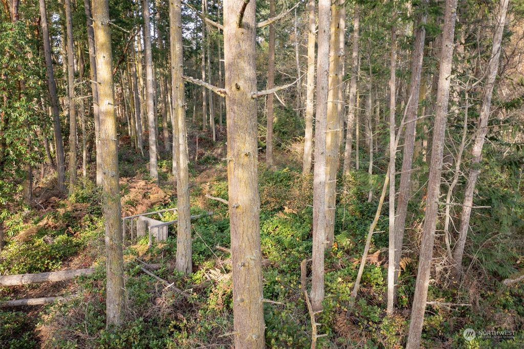listing image 9369878514365234697