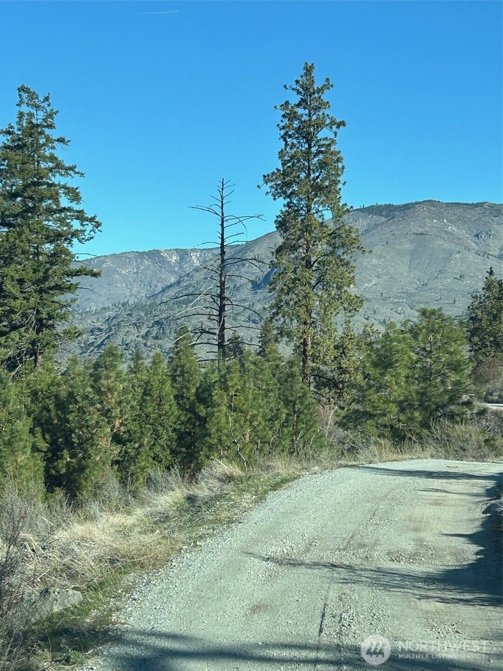 Photo of 1669 Emerson Acres Road, Manson, WA 98831 (MLS # 2500907)