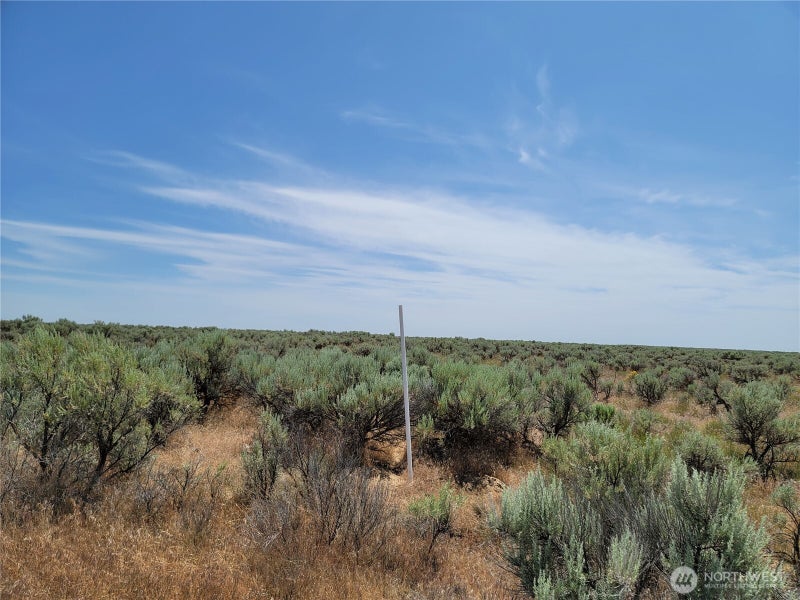 0 Lot 116 Eagle Springs Ranch