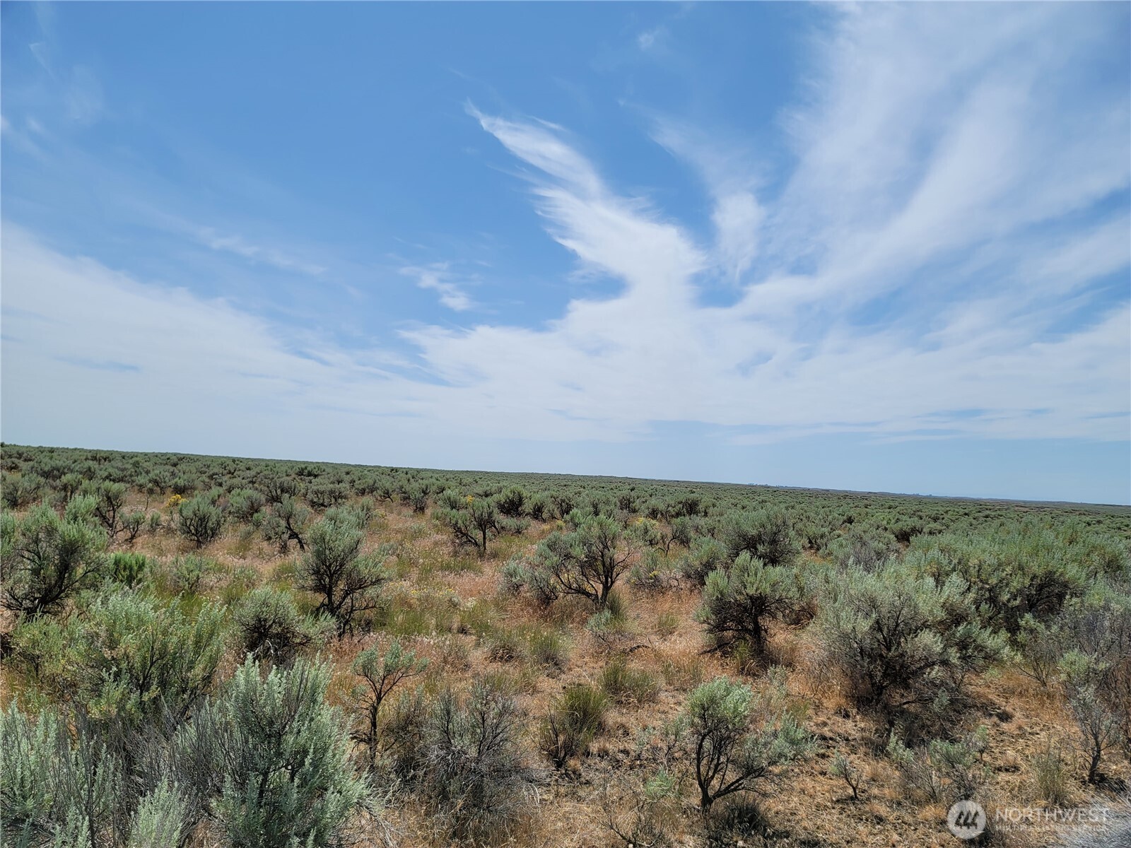 0 Lot 116 Eagle Springs Ranch