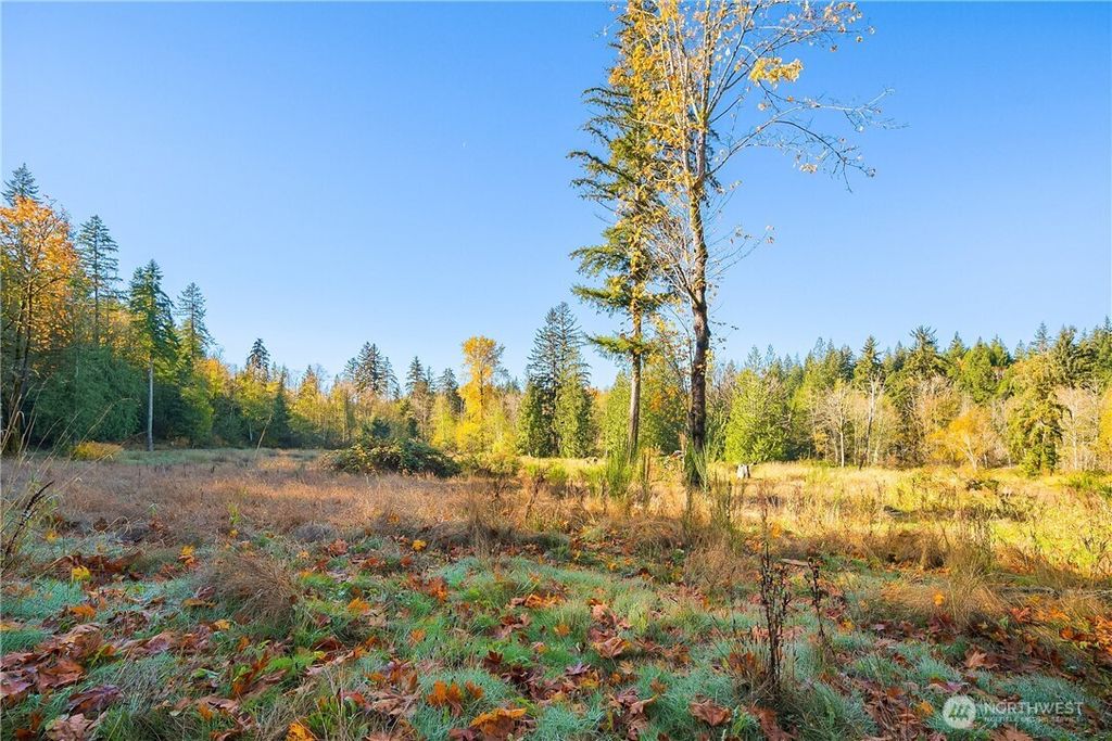 Photo of 25520 SE Old Black Nugget Road, Issaquah, WA 98029 (MLS # 2442101)