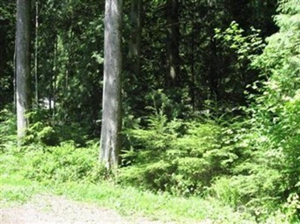 Photo of 148 Polo Park Drive #A, Bellingham, WA 98229 (MLS # 2491812)