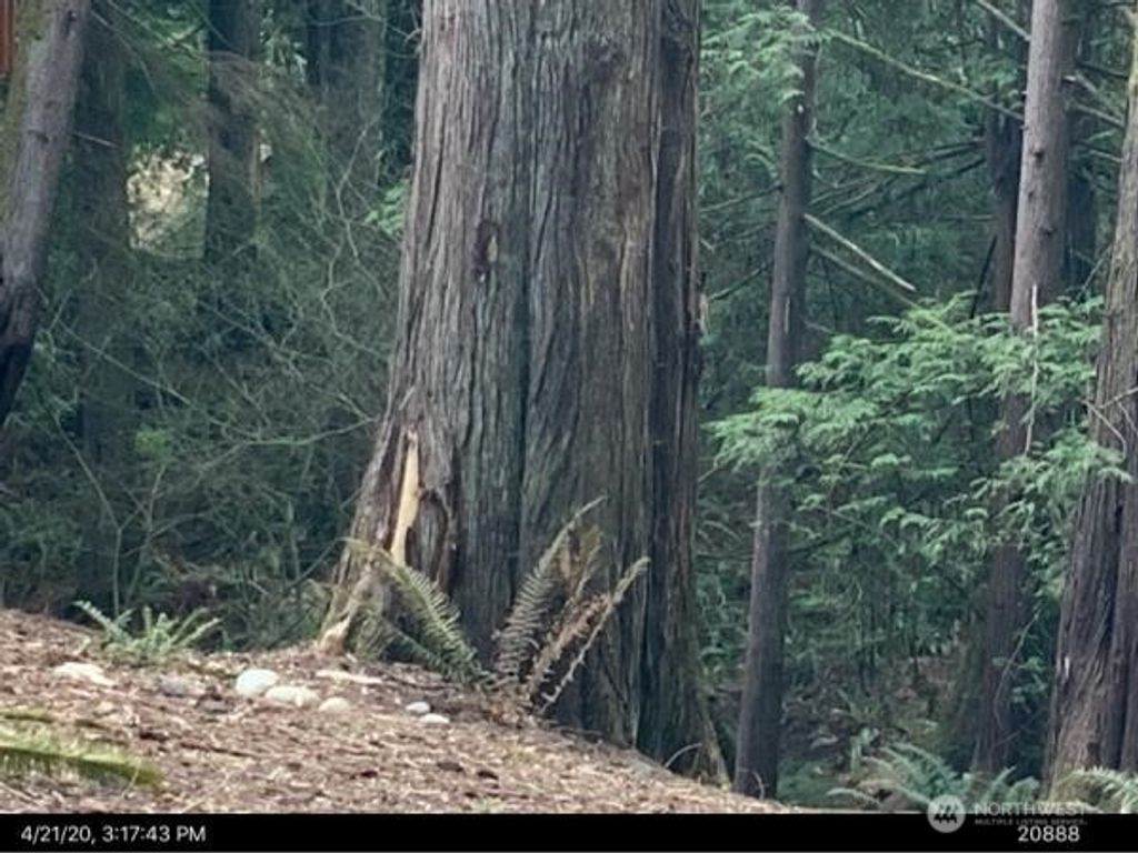 Photo of 148 Polo Park Drive #A, Bellingham, WA 98229 (MLS # 2491812)