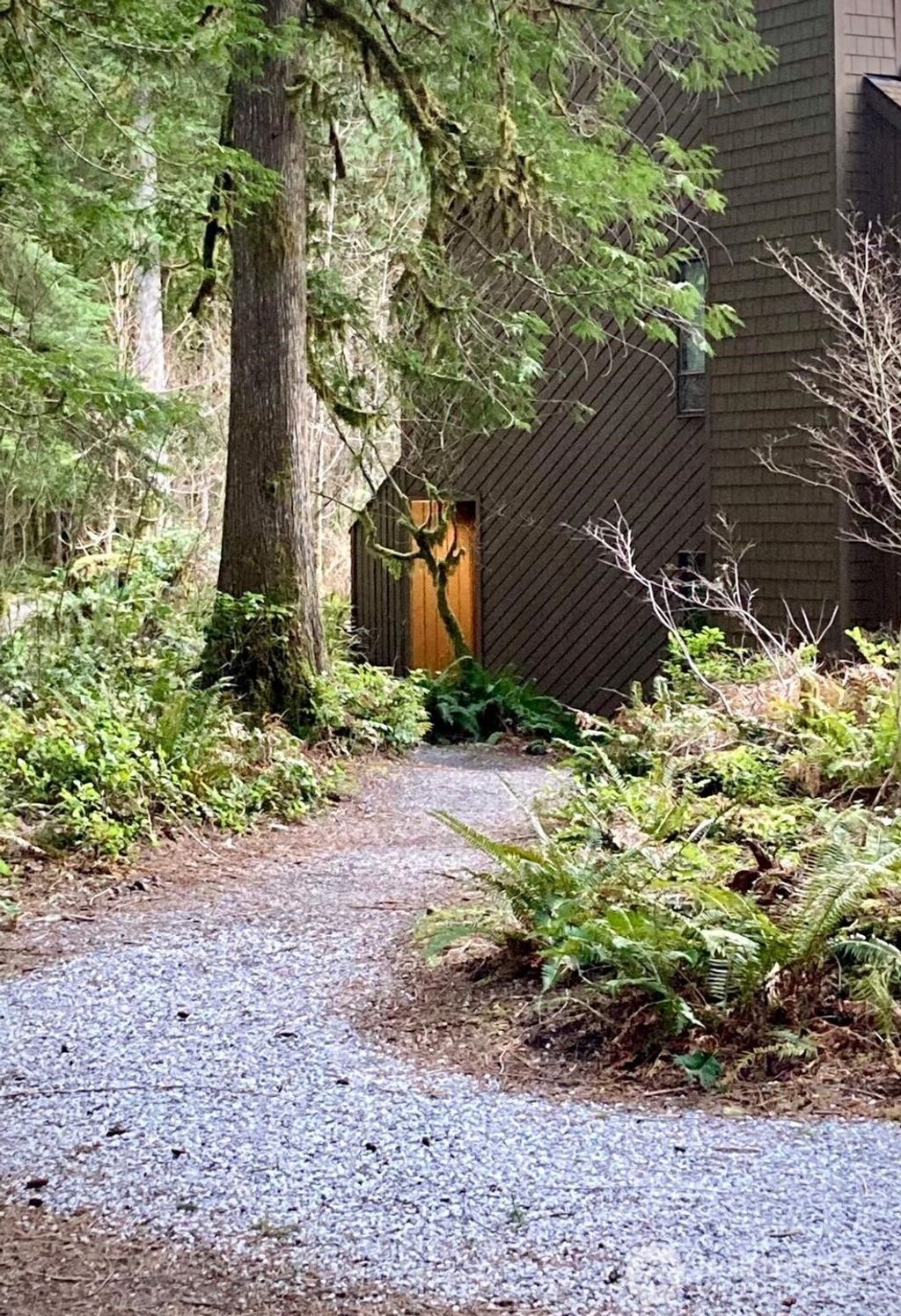 Photo of 10500 Mount Baker Highway #307, Glacier, WA 98244 (MLS # 2517157)