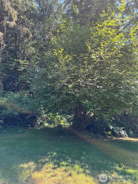 12408 93rd Street Anderson Island WA 98303