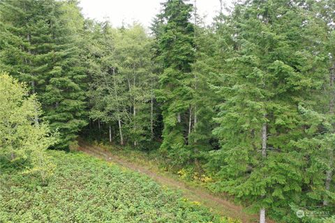 0 Brenton Lane Aberdeen WA 98520