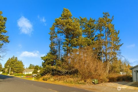 Photo of 30904 M Place, Ocean Park, WA 98640 (MLS # 2472665)