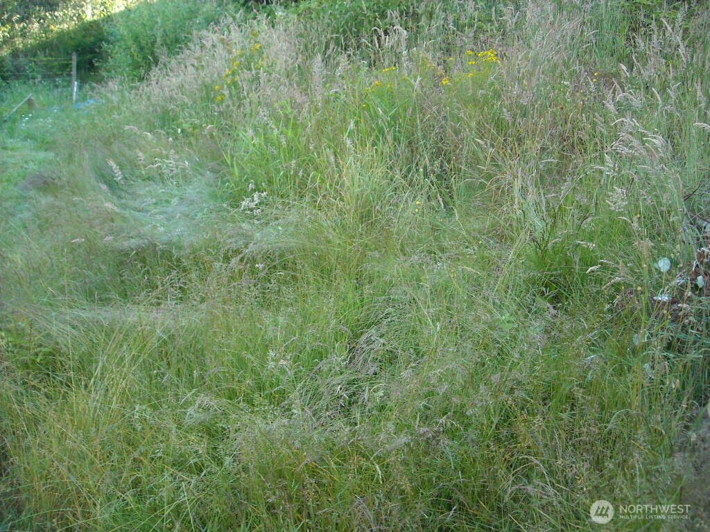 Photo of 514 E 55th Street, Tacoma, WA 98404 (MLS # 2497101)