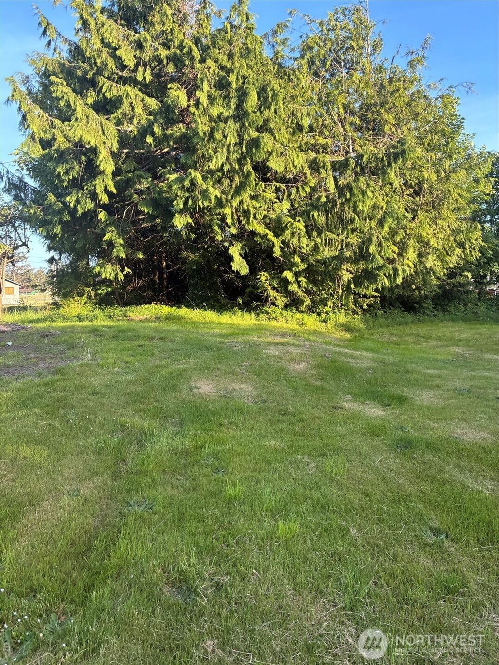 Photo of 1408 256th Lot 384 Place, Ocean Park, WA 98640 (MLS # 2528769)