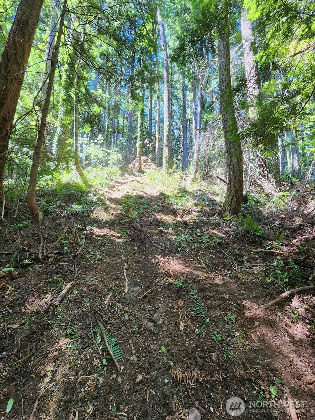Photo of 545 Ellerwood St St SW, Issaquah, WA 98027 (MLS # 2444248)