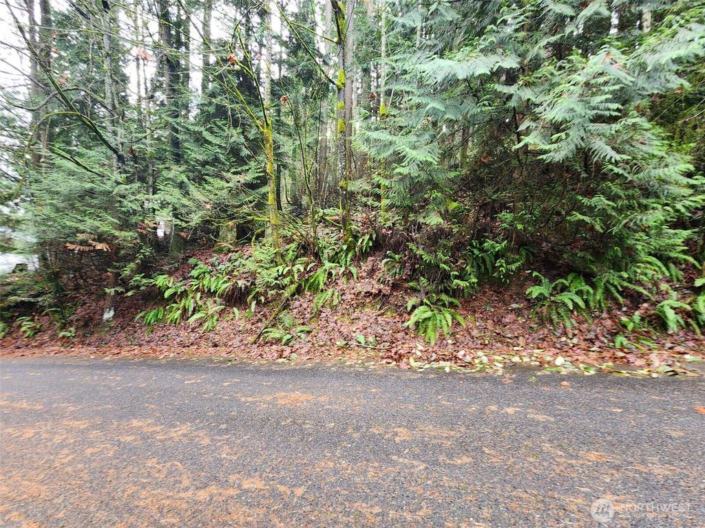 Photo of 545 Ellerwood St St SW, Issaquah, WA 98027 (MLS # 2444248)