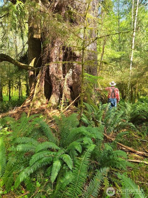 Photo of Forks, WA 98331 (MLS # 2401797)