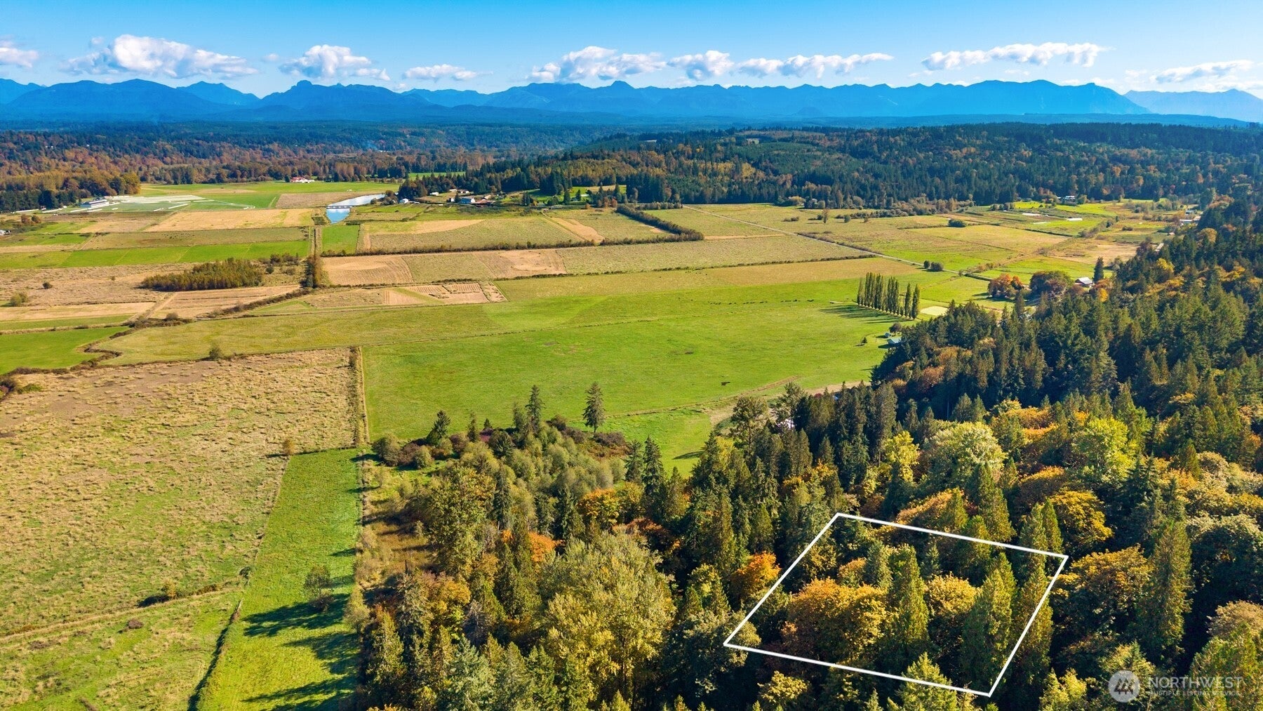 8801 W Snoqualmie Valley Road NE