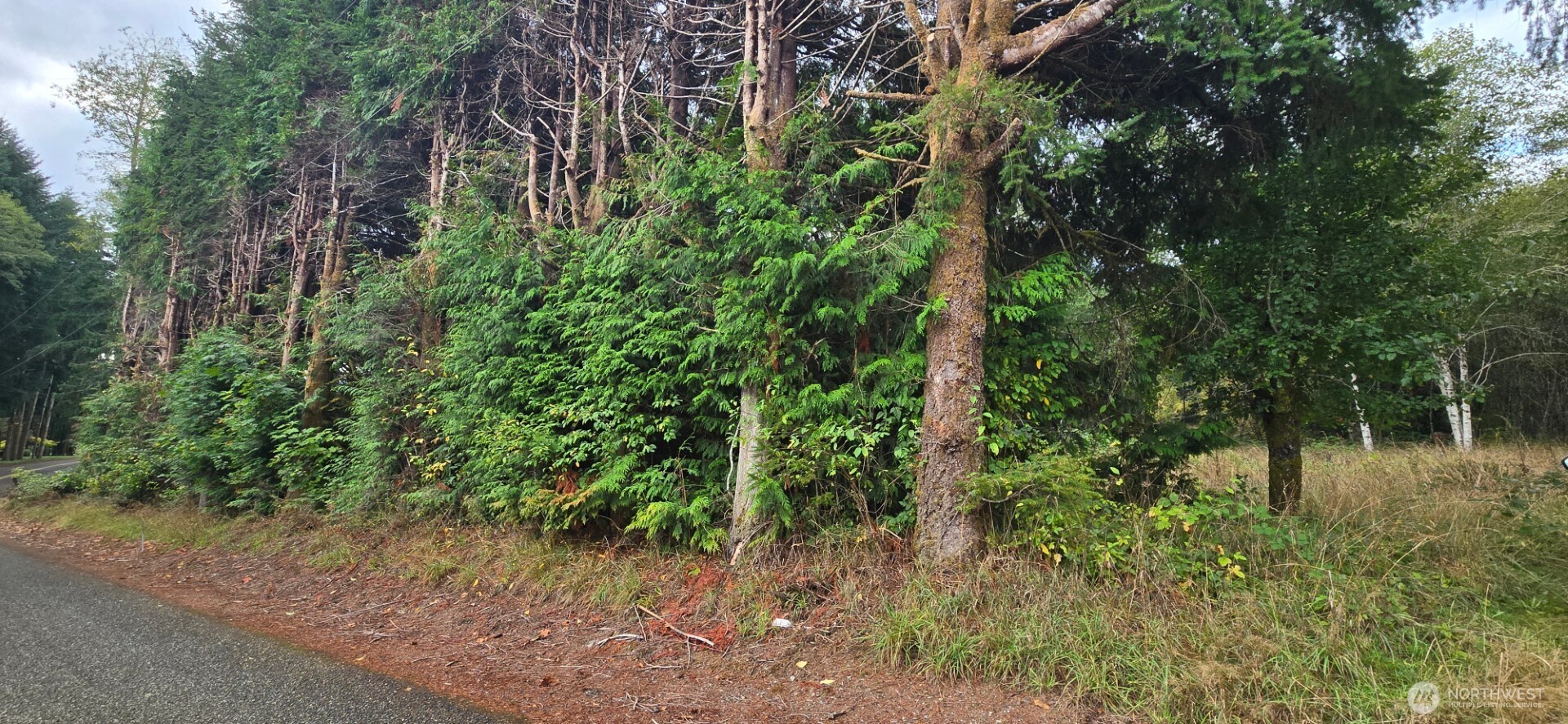 1351 Satsop Road W