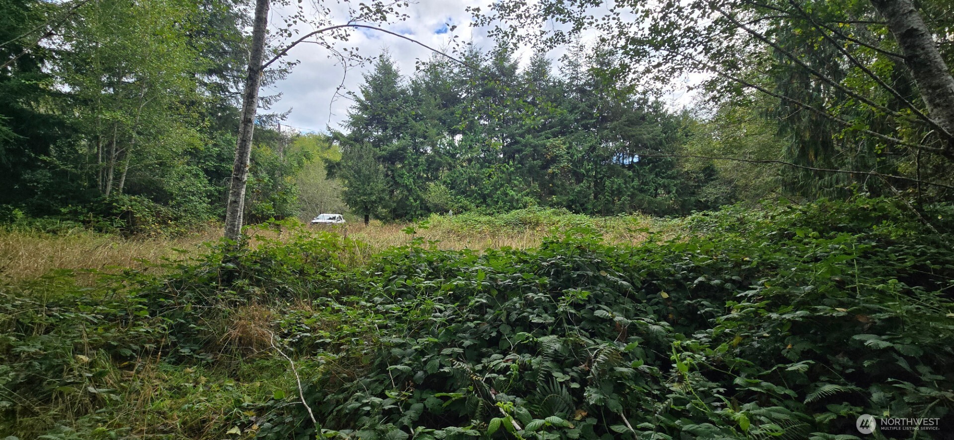1351 Satsop Road W