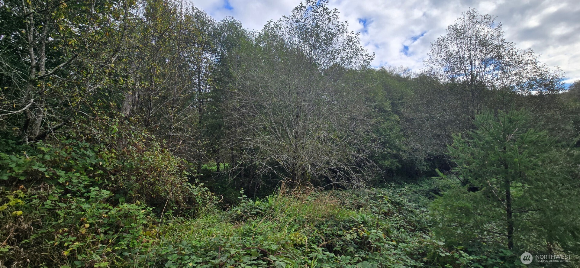 1351 Satsop Road W