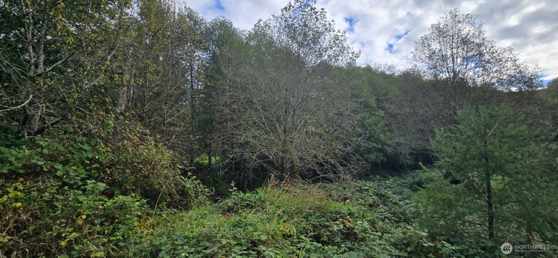 1351 Satsop Road W