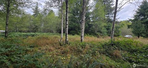 1351 Satsop Road W Montesano WA 98563