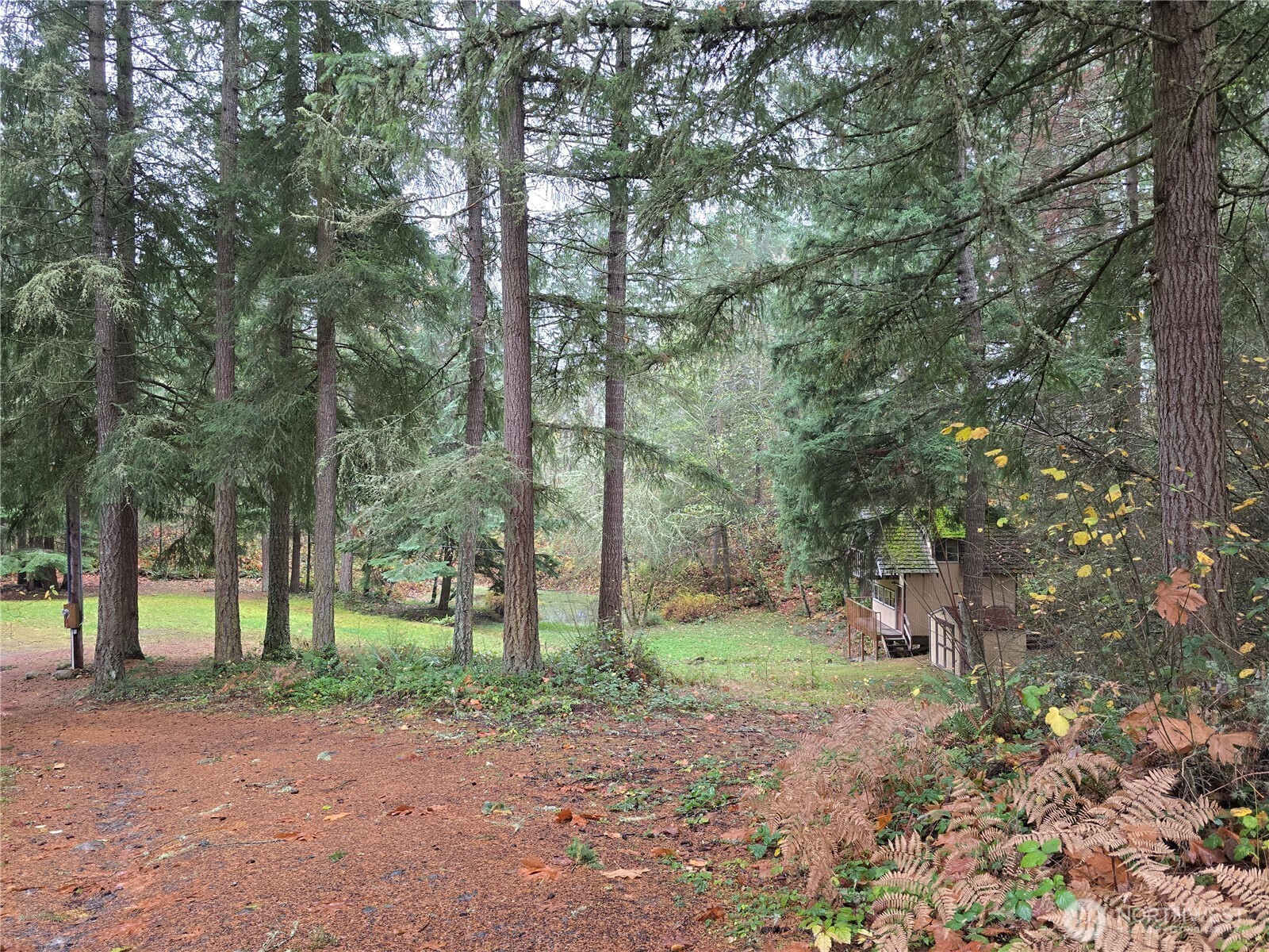 41411 E 109th Avenue Ct E