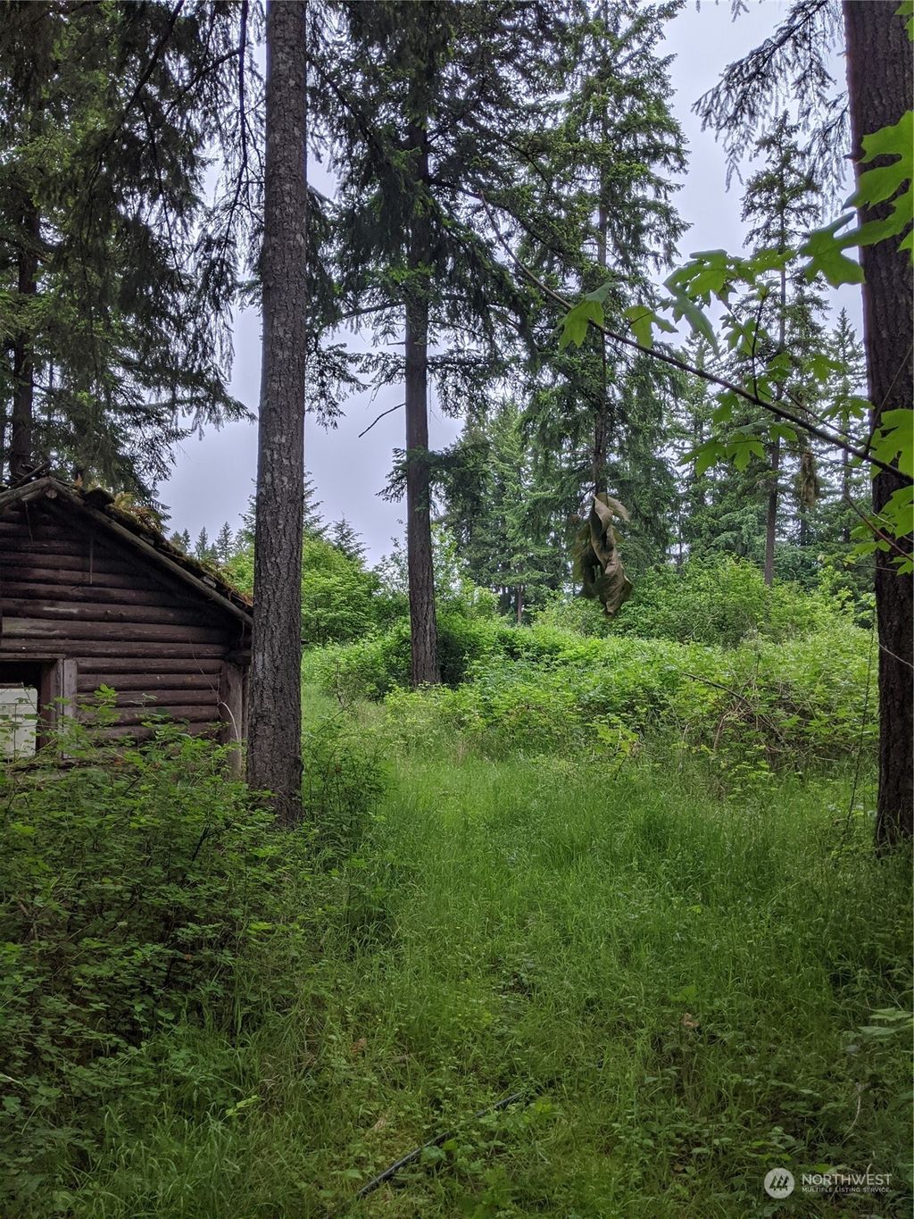 Photo of 22822 SE 230th Place, Maple Valley, WA 98038 (MLS # 2026572)