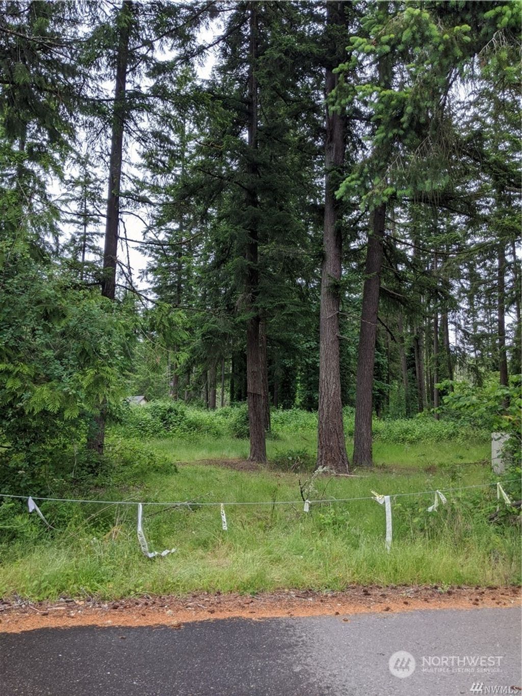 Photo of 22822 SE 230th Place, Maple Valley, WA 98038 (MLS # 2026572)
