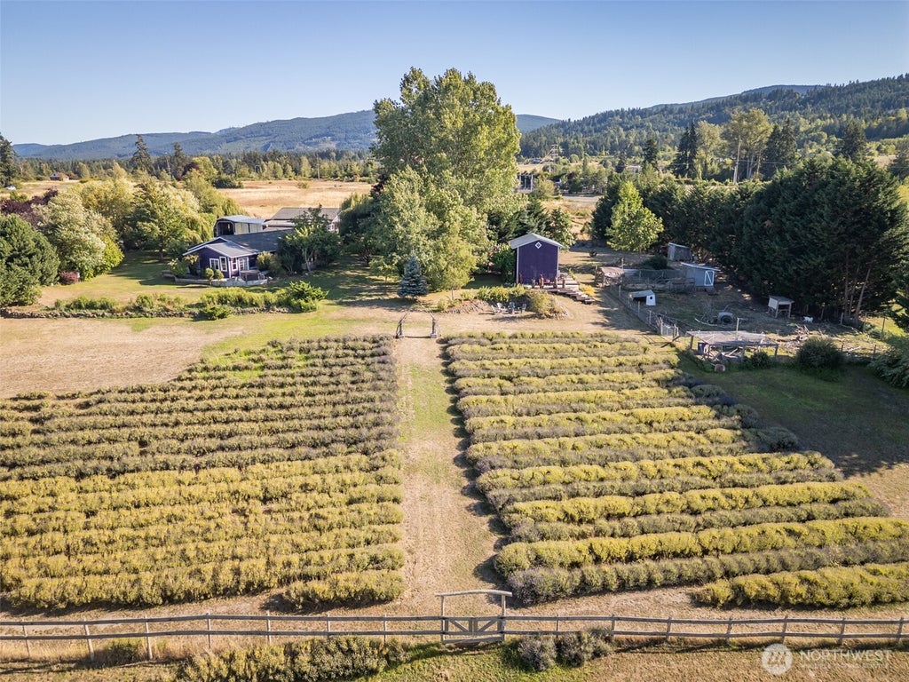 Photo of 330 Bell Bottom Road, Sequim, WA 98382 (MLS # 2577616)