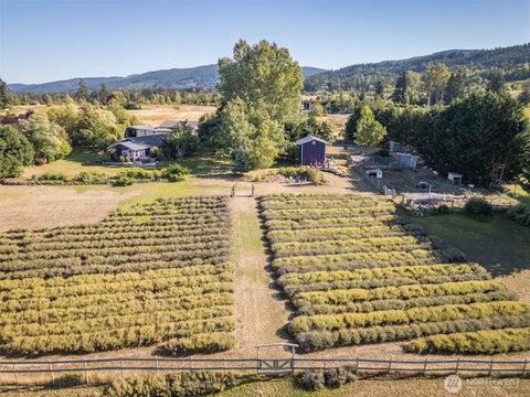 Photo of 330 Bell Bottom Road, Sequim, WA 98382 (MLS # 2577616)