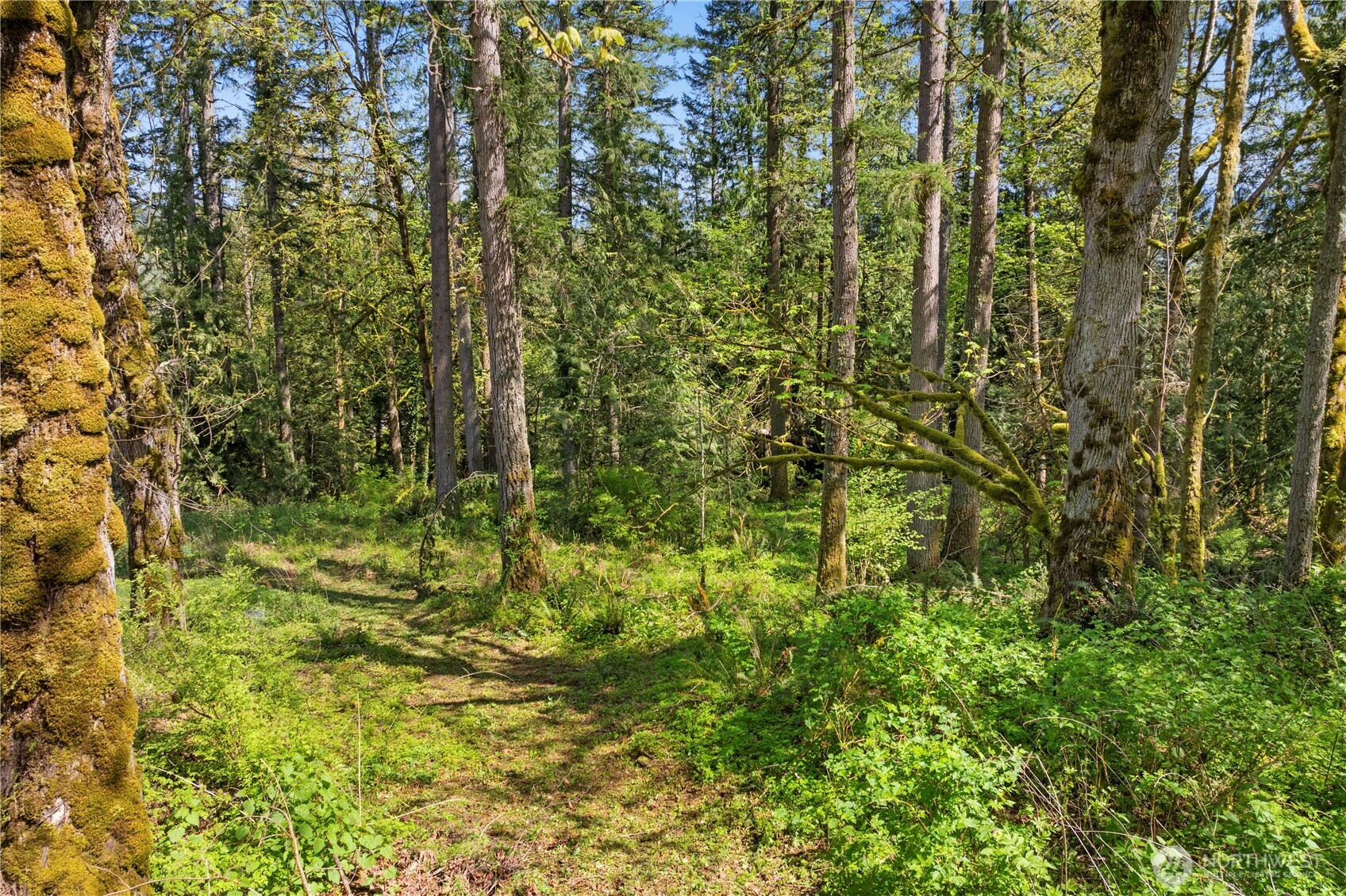 29 SE Issaquah Fall City Road