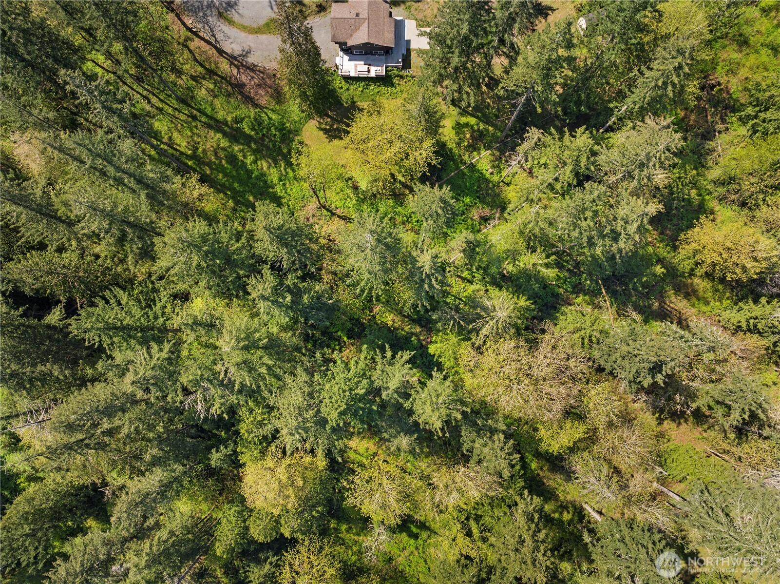 29 SE Issaquah Fall City Road