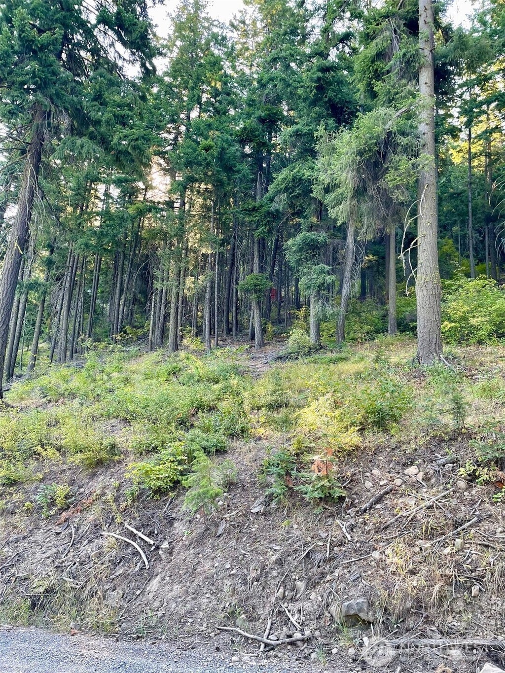 Photo of 1290 Rodeo Road Rd, Cle Elum, WA 98922 (MLS # 2569817)