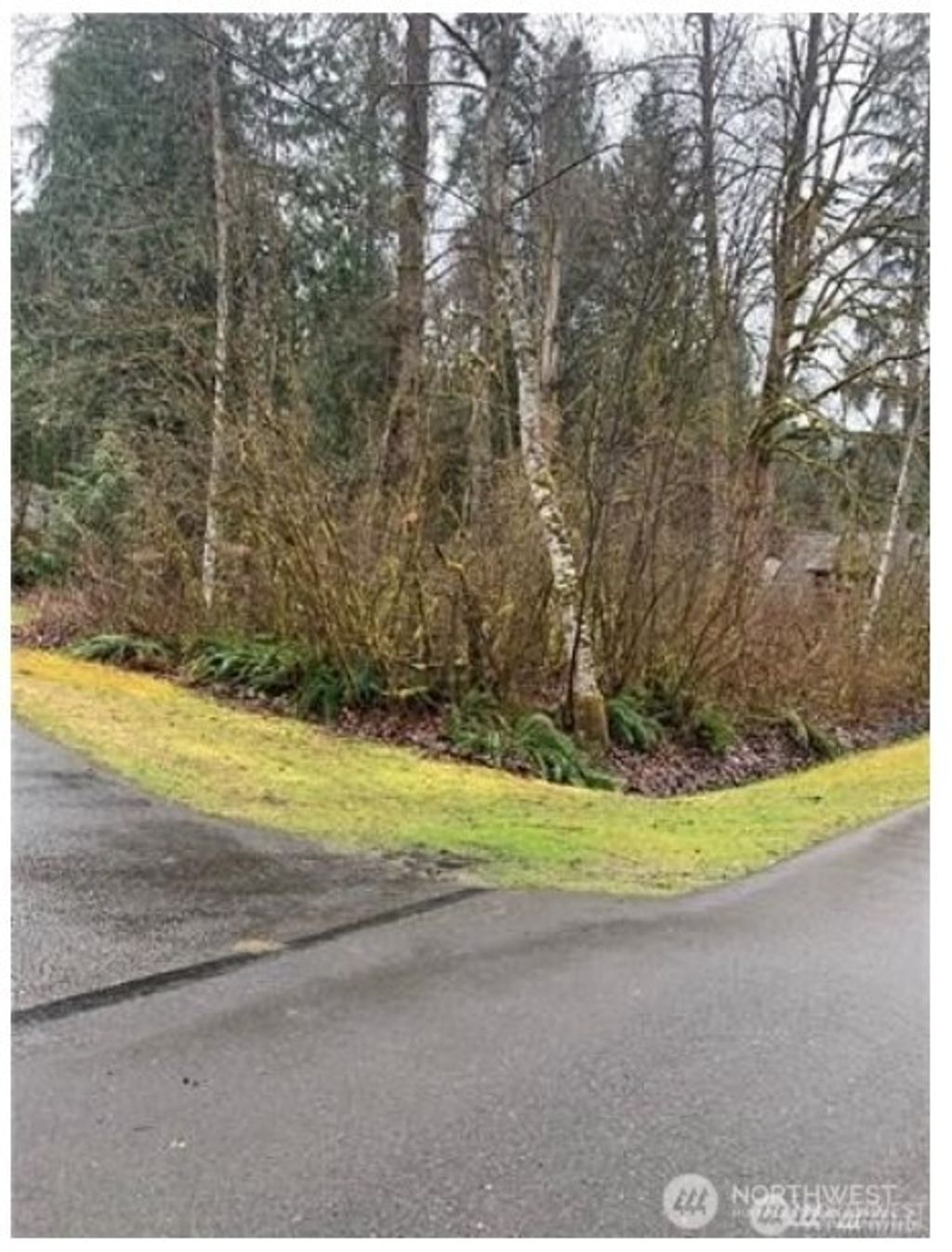 Photo of 16007 Shuksan Rim Drive, Deming, WA 98244 (MLS # 2469005)