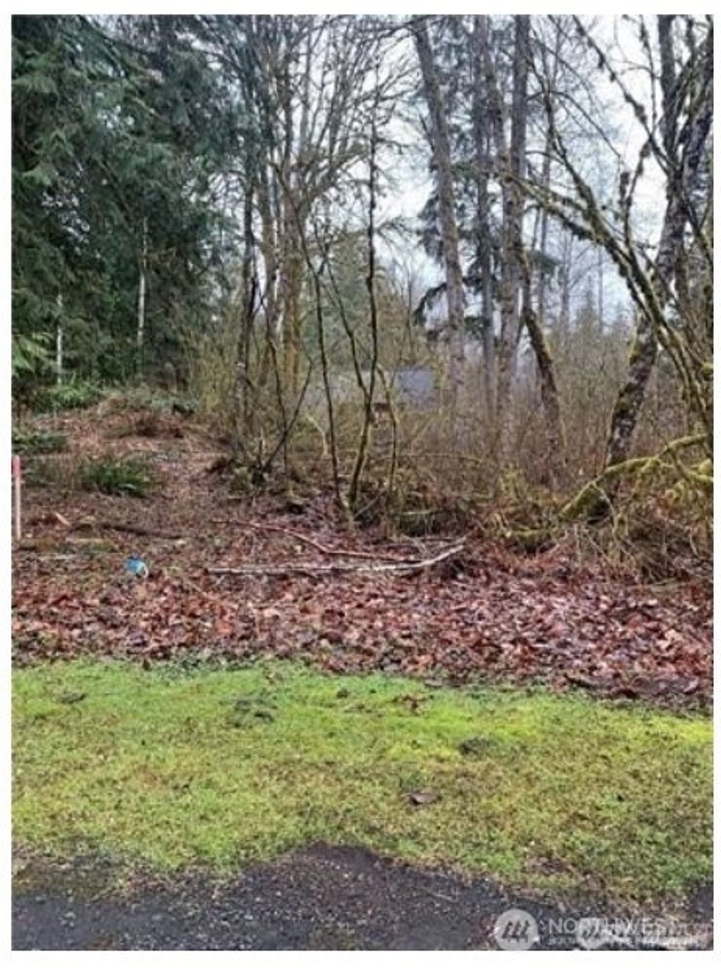 Photo of 16007 Shuksan Rim Drive, Deming, WA 98244 (MLS # 2469005)