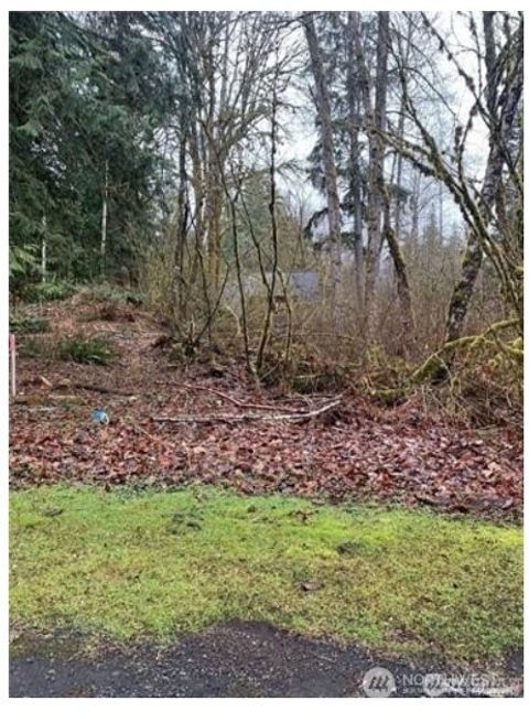 Photo of 16007 Shuksan Rim Drive, Deming, WA 98244 (MLS # 2469005)