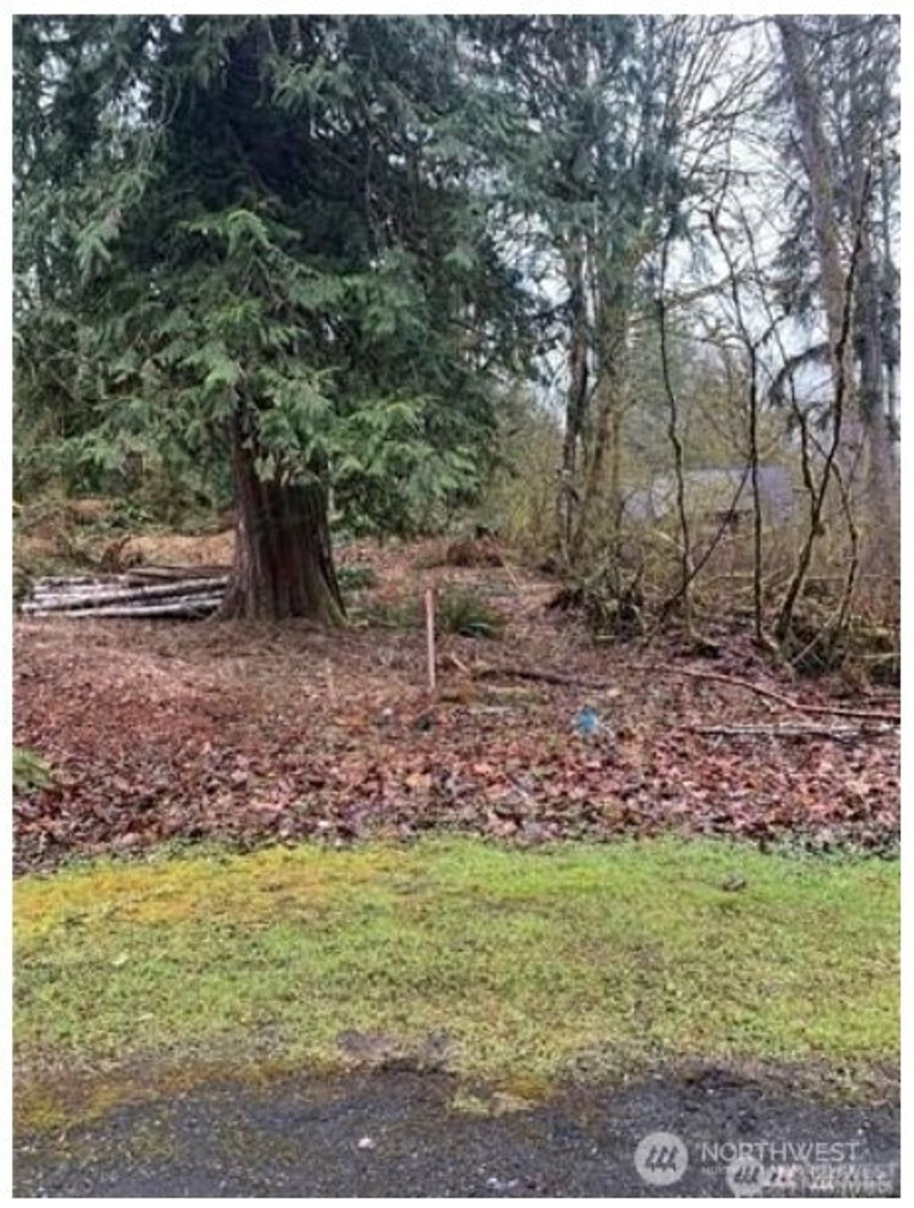 Photo of 16007 Shuksan Rim Drive, Deming, WA 98244 (MLS # 2469005)