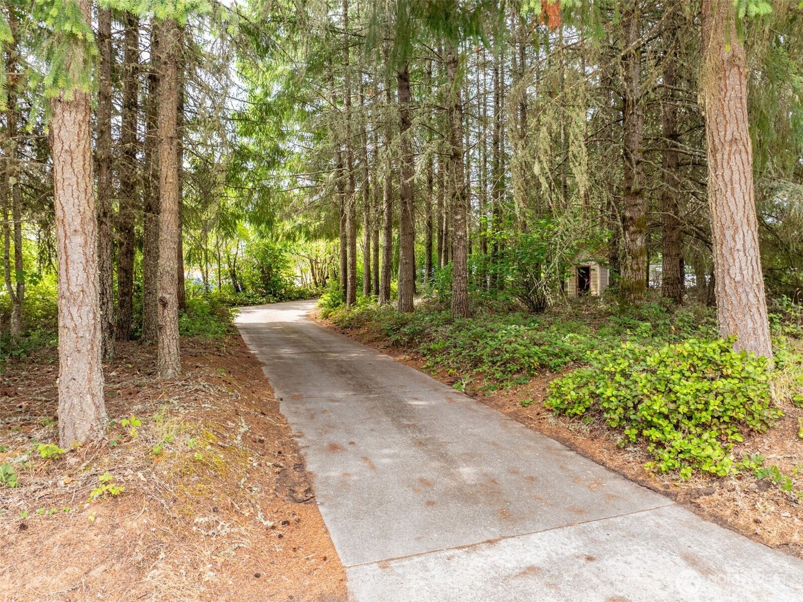 375 Curtis Hill Road