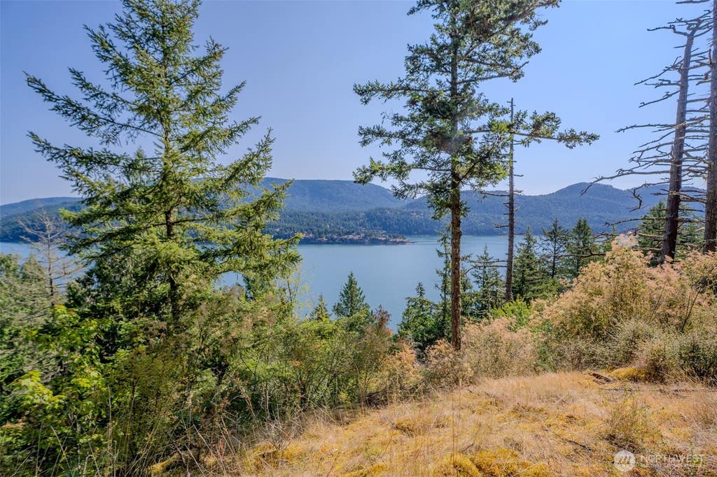 Photo of 37 Silvermoon Lane, Orcas Island, WA 98280 (MLS # 2553672)